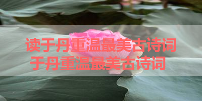 读于丹重温最美古诗词 于丹重温最美古诗词