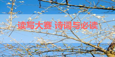 读写大赛 诗词与必读 