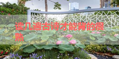 读几遍古诗才能背的很熟 