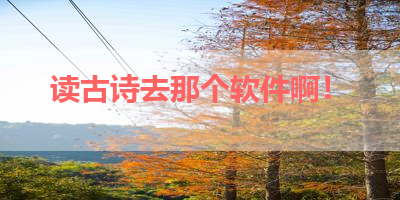 读古诗去那个软件啊！ 