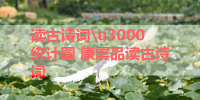 读古诗词　统计图 康震品读古诗词