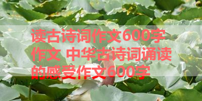 读古诗词作文600字作文 中华古诗词诵读的感受作文600字 
