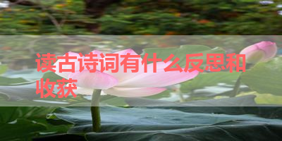 读古诗词有什么反思和收获 