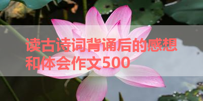 读古诗词背诵后的感想和体会作文500 