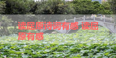 读屈原诗词有感 读屈原有感