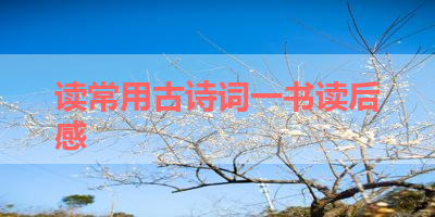 读常用古诗词一书读后感 