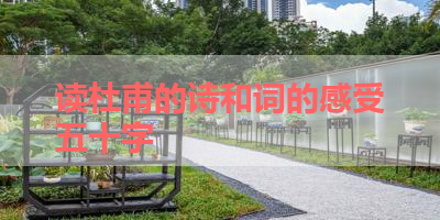 读杜甫的诗和词的感受五十字 