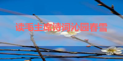 读毛主席诗词沁园春雪 