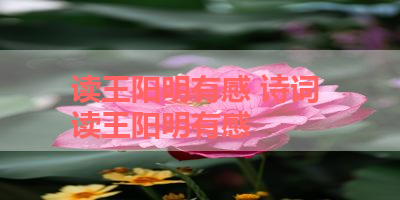 读王阳明有感 诗词 读王阳明有感