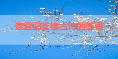 读登鹳雀楼古诗的感受 
