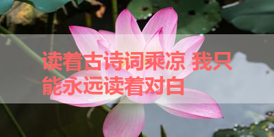 读着古诗词乘凉 我只能永远读着对白