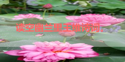 读空幽兰里王维诗词。 