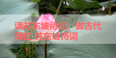 读苏东坡诗词，做古代网红 苏东坡诗词