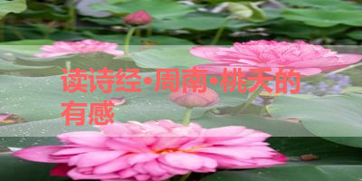 读诗经·周南·桃夭的有感 