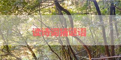 读诗词猜谜语 