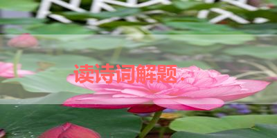 读诗词解题． 