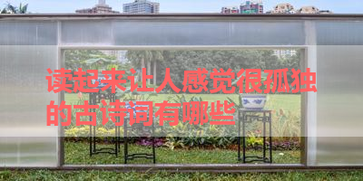 读起来让人感觉很孤独的古诗词有哪些 