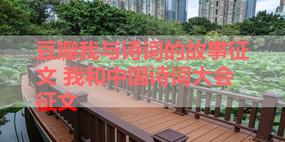 豆瓣我与诗词的故事征文 我和中国诗词大会征文