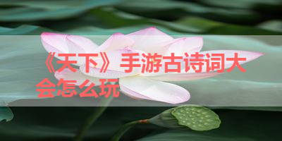 《天下》手游古诗词大会怎么玩 