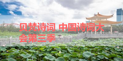 贝梵诗词 中国诗词大会第三季