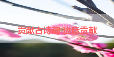 贡献古诗词 边际贡献