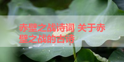 赤壁之战诗词 关于赤壁之战的古诗