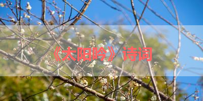 《太阳吟》诗词 