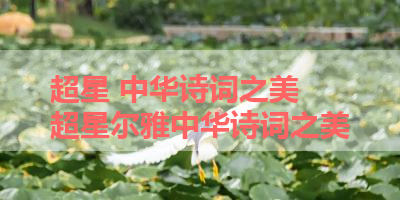 超星 中华诗词之美 超星尔雅中华诗词之美