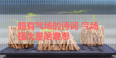 超有气场的诗词 气场强大是啥意思 