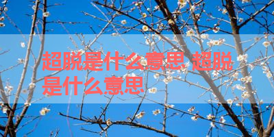超脱是什么意思 超脱是什么意思