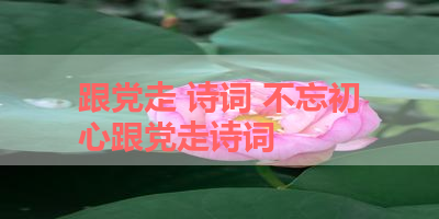 跟党走 诗词 不忘初心跟党走诗词