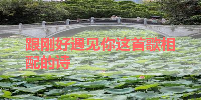 跟刚好遇见你这首歌相配的诗 