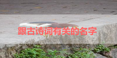 跟古诗词有关的名字 
