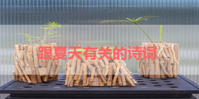 跟夏天有关的诗词 