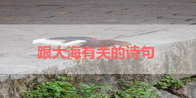 跟大海有关的诗句 