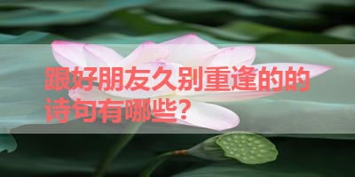 跟好朋友久别重逢的的诗句有哪些？ 