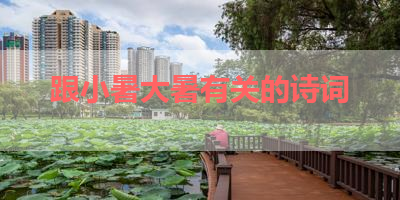 跟小暑大暑有关的诗词 