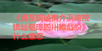 《宸茬粡鏀惧亣浜嗙殑锛屾劅璋四川鐤戯紒》什么意思 