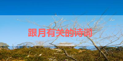 跟月有关的诗词 