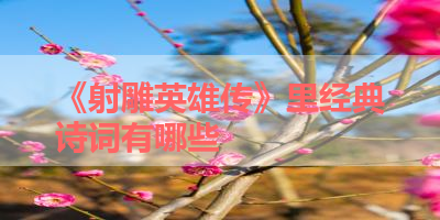 《射雕英雄传》里经典诗词有哪些 