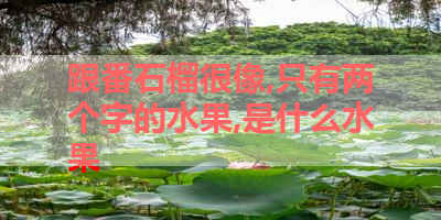 跟番石榴很像,只有两个字的水果,是什么水果 