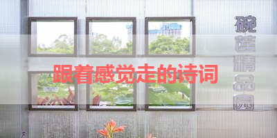 跟着感觉走的诗词 