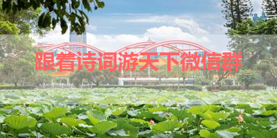 跟着诗词游天下微信群 