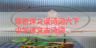 跟着课文读诗词六下 小学课文古诗词