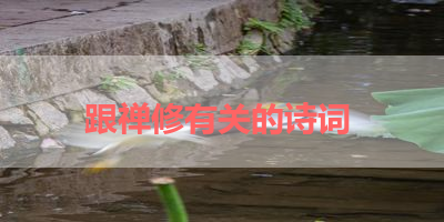 跟禅修有关的诗词 