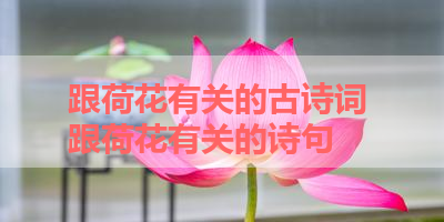 跟荷花有关的古诗词 跟荷花有关的诗句