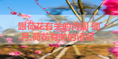 跟荷花有关的诗词 锄,月,荷花有关的诗词