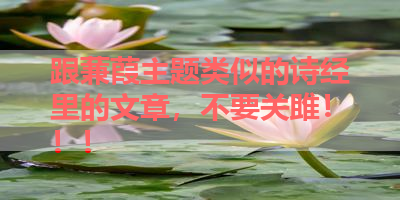 跟蒹葭主题类似的诗经里的文章，不要关雎！！！ 