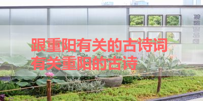 跟重阳有关的古诗词 有关重阳的古诗