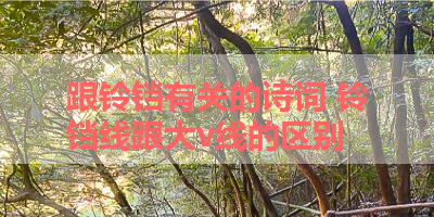 跟铃铛有关的诗词 铃铛线跟大v线的区别